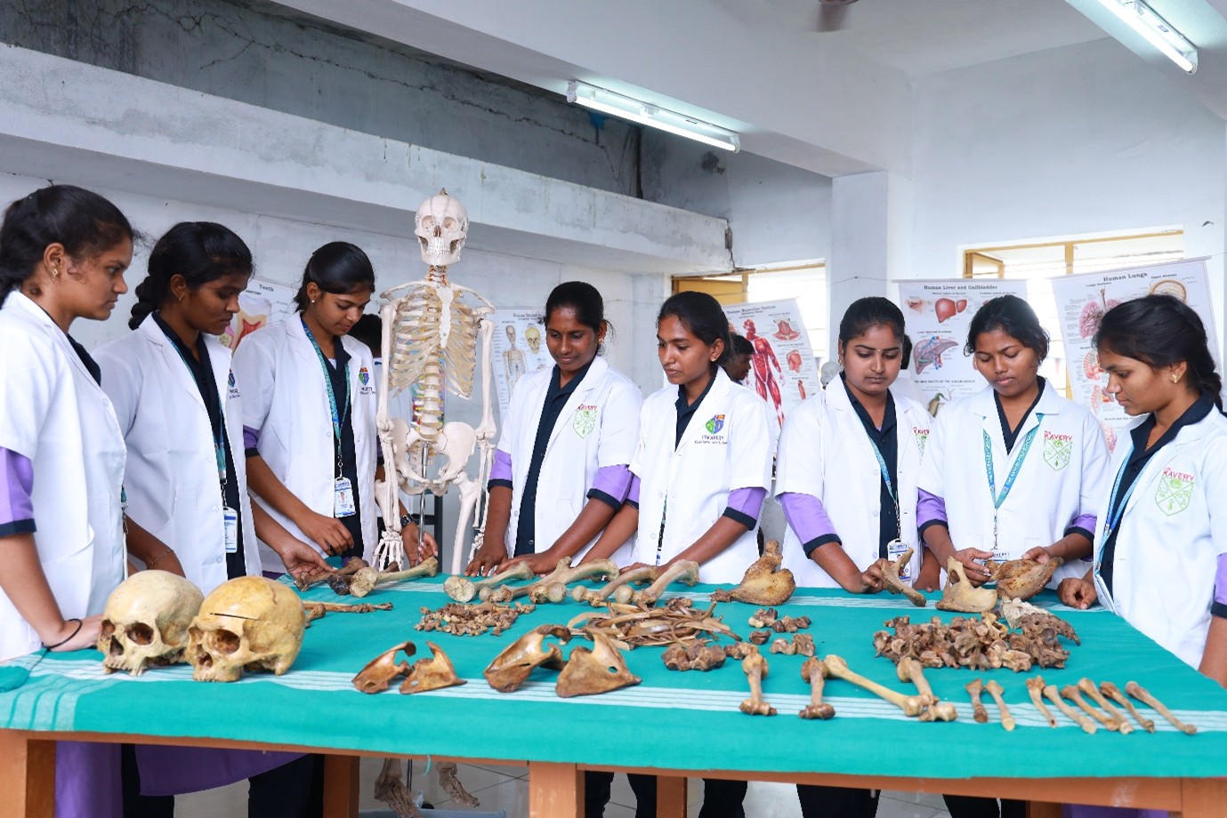 College Image